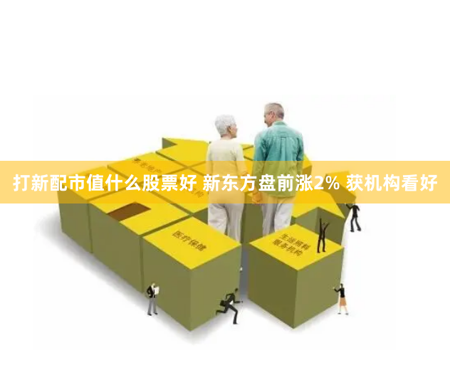 打新配市值什么股票好 新东方盘前涨2% 获机构看好