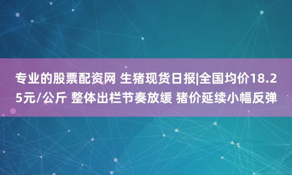 专业的股票配资网 生猪现货日报|全国均价18.25元/公斤 整体出栏节奏放缓 猪价延续小幅反弹