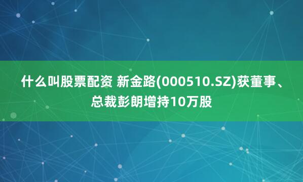 什么叫股票配资 新金路(000510.SZ)获董事、总裁彭朗增持10万股