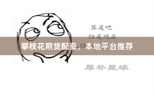 攀枝花期货配资，本地平台推荐